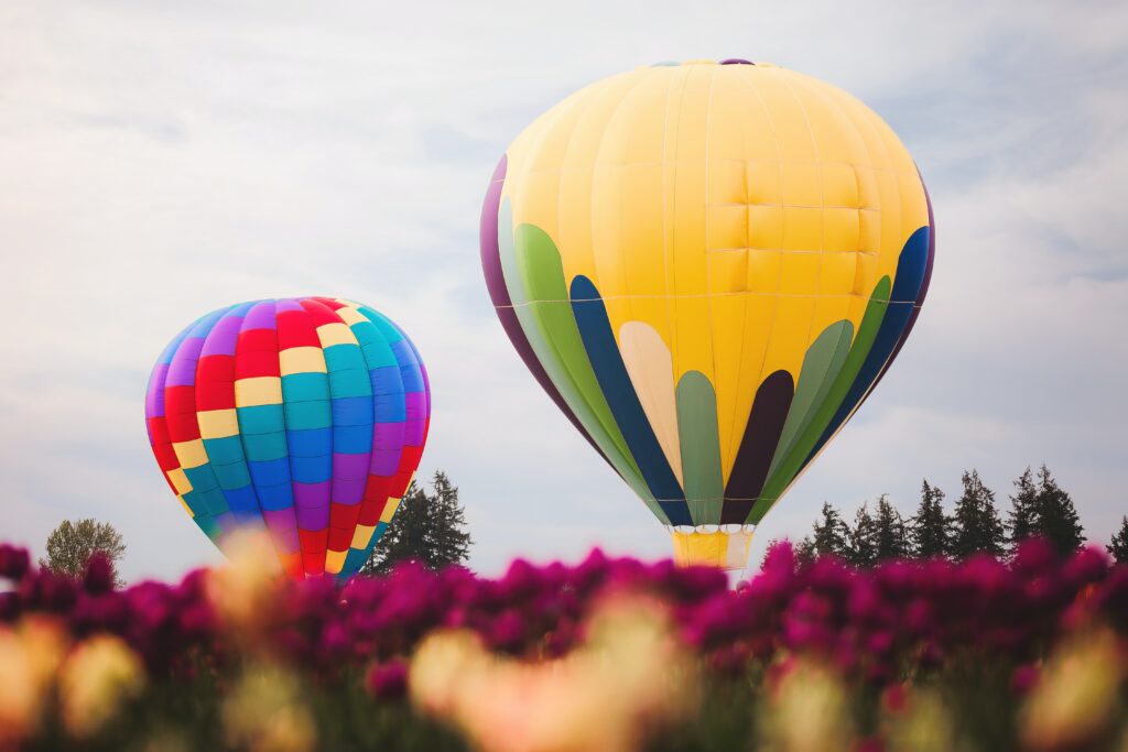 Hot air balloons over field of flowers